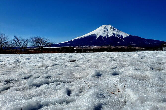 Full Day Private Guided Tour Mt. Fuji and Hakone - Special Considerations