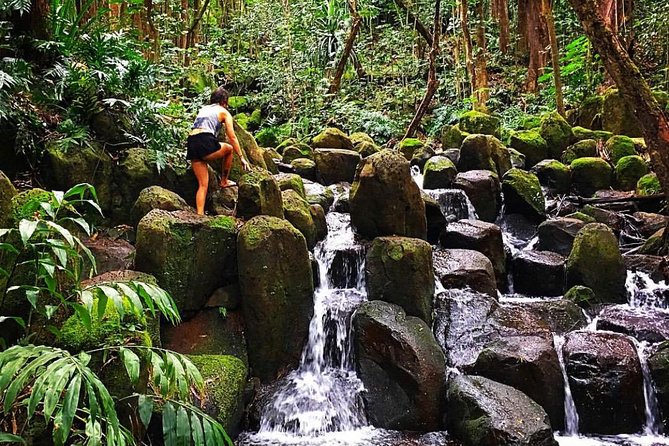 Half-Day Kayak and Waterfall Hike Tour in Kauai With Lunch - Traveler Experiences