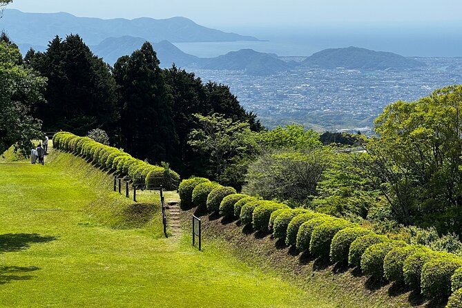 Hike Japan Heritage Hakone Hachiri With Certified Mountain Guide - Certified Mountain Guide