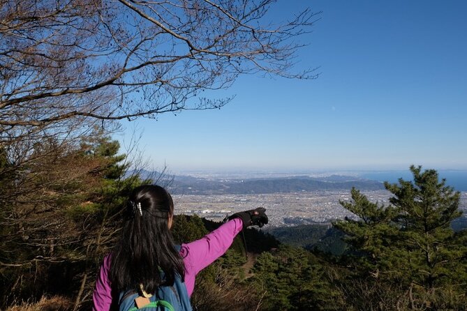 Hike the Outer Rim of Hakone Caldera and Enjoy Onsen Hot Spring Tour - Practical Information and Booking