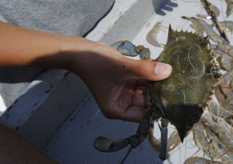 Hilton Head Island: Crabbing Expedition Boat Tour - Frequently Asked Questions
