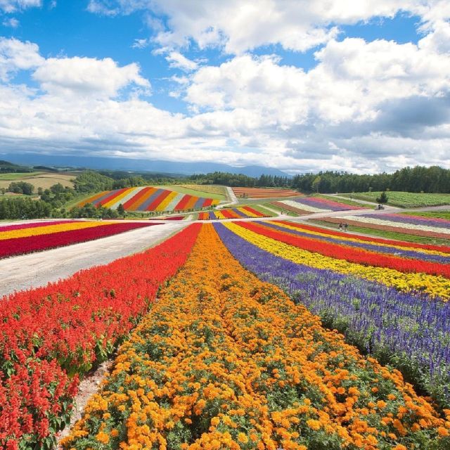 Hokkaido: Biei Blue Pond and Furano Flower Farm Day Trip - Ningle Terrace Handicrafts