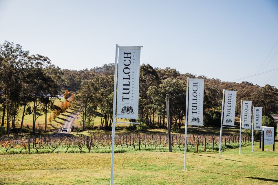 Hunter Valley: Tasting of 6 Shiraz Vintages at Tulloch Wines - Frequently Asked Questions