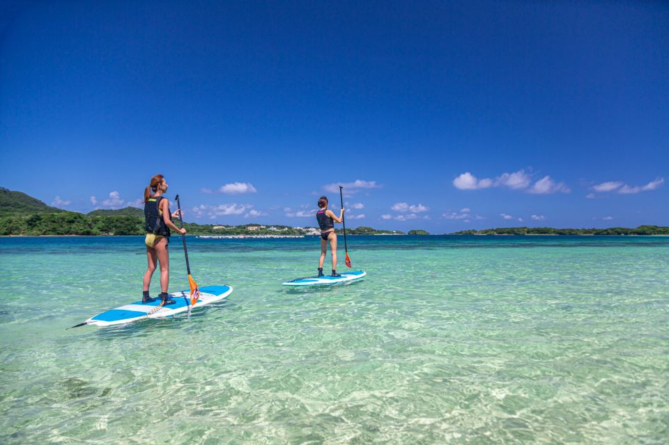 Ishigaki Island: SUP or Kayaking Experience at Kabira Bay - Choosing Between SUP and Kayak