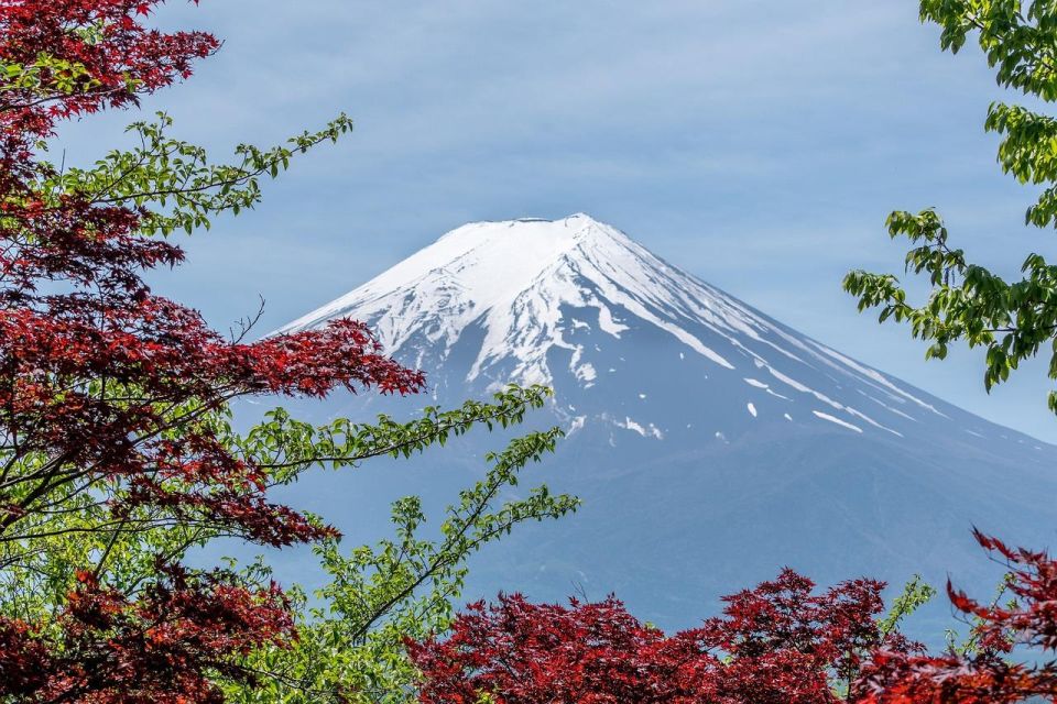 Kanto 10-Hour Chartered Day Trip | Mt. Fuji Day Trip - English-speaking Driver Availability