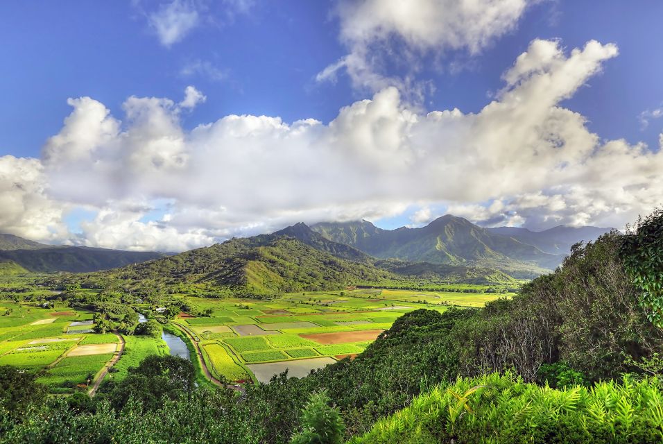Kauai: Movie Locations Tour - Insider Insights Provided