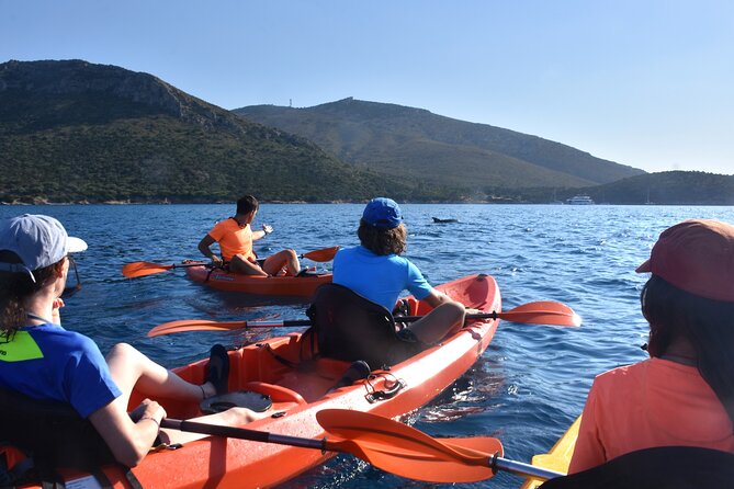 Kayak Tour With Aperitif and Dolphins - Included Features