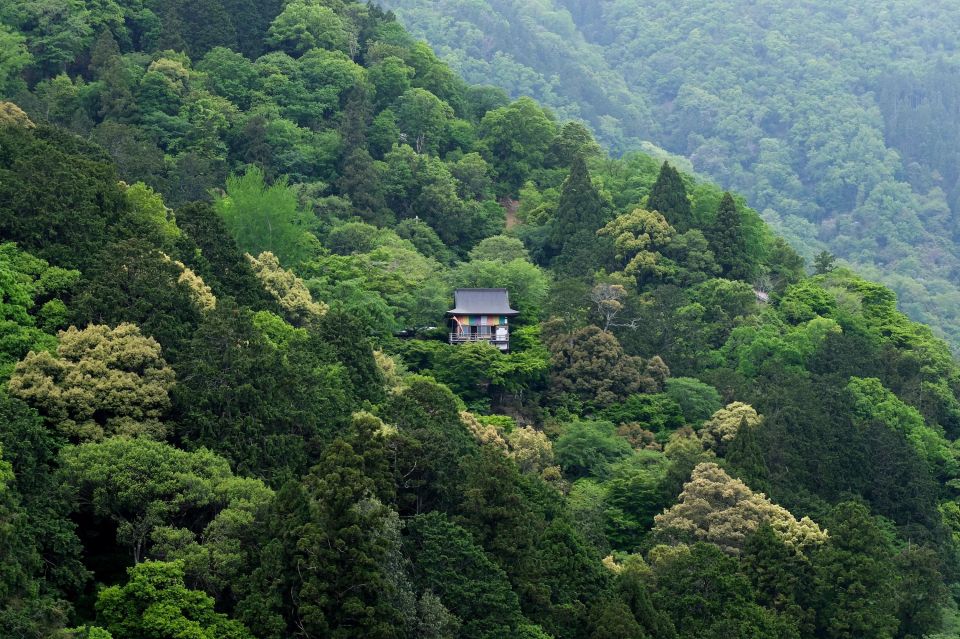 Kyoto: Arashiyama Forest Trek With Authentic Zen Experience - Inclusions and Considerations