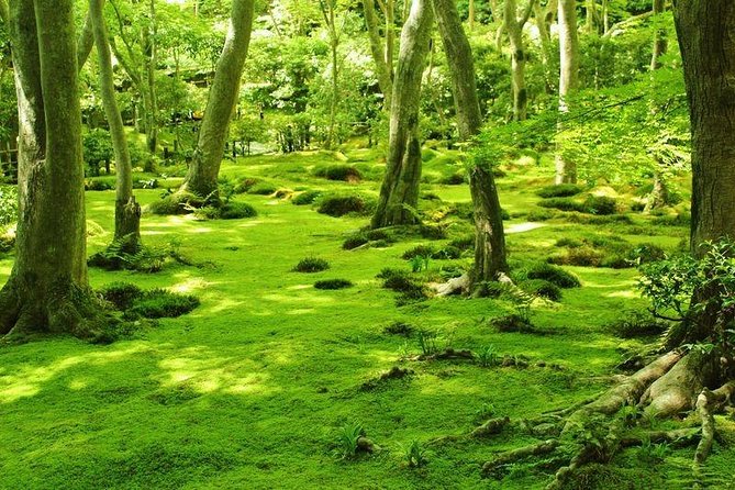 Kyoto Arashiyama & Sagano Bamboo Private Tour With Government-Licensed Guide - Cancellation Policy
