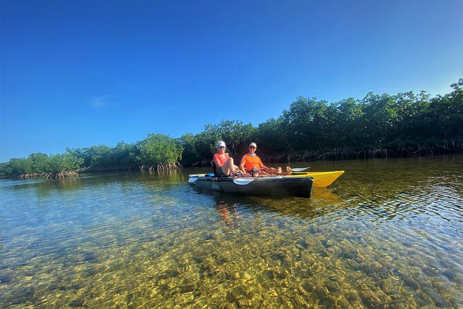 Mangrove Tunnel Kayak Adventure in Key Largo - Frequently Asked Questions