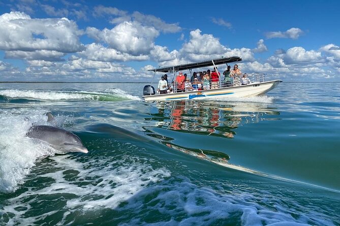 Marco Island Dolphin Sightseeing Tour - Frequently Asked Questions