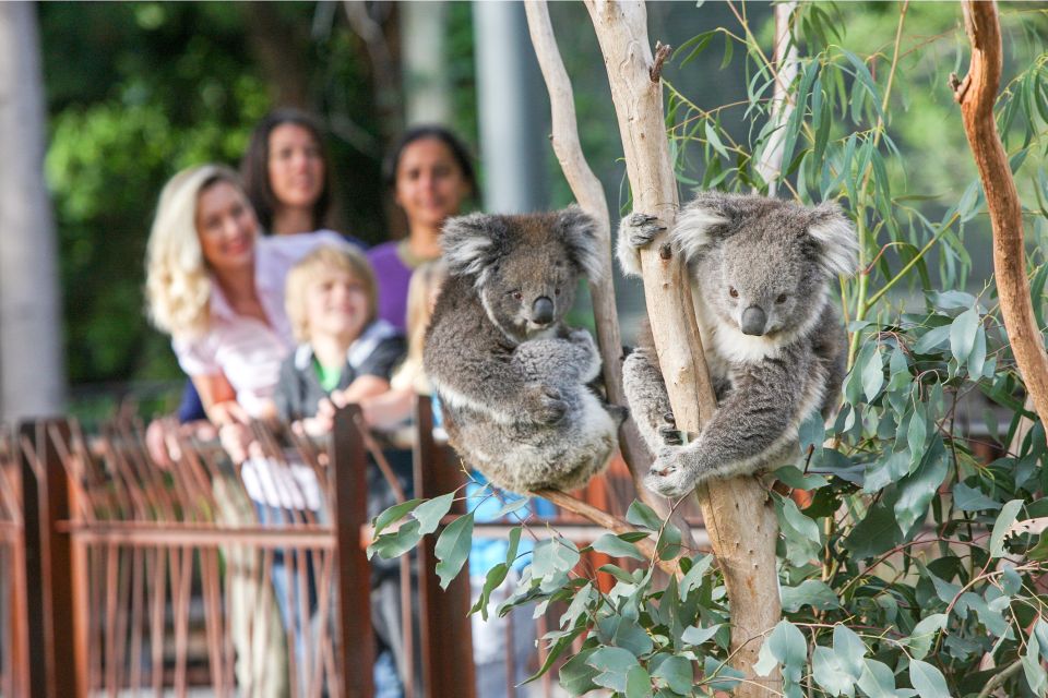 Melbourne: Zoo 1-Day Entry Ticket - Additional Details