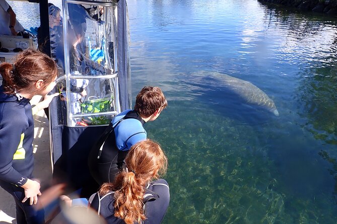 Most Popular 3hr Manatee Swim Tour + In-Water Guide! - Frequently Asked Questions