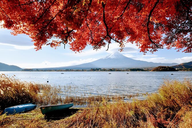 Mt Fuji Day Trip From Tokyo by Car With Photographer Guide - Booking Information and Policies