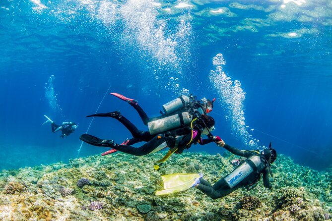 Naha: Full-Day Introductory Diving & Snorkeling in the Kerama Islands, Okinawa - Duration and End Point