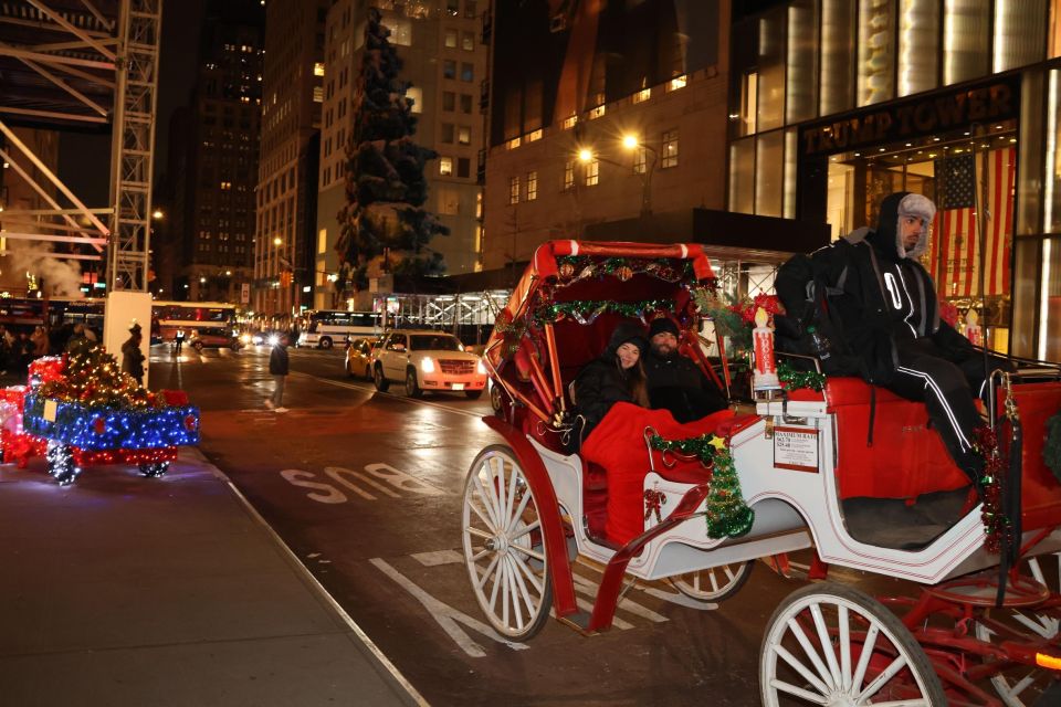 NYC: Magical Christmas Lights Carriage Ride (Up to 4 Adults) - Meeting Point and Booking