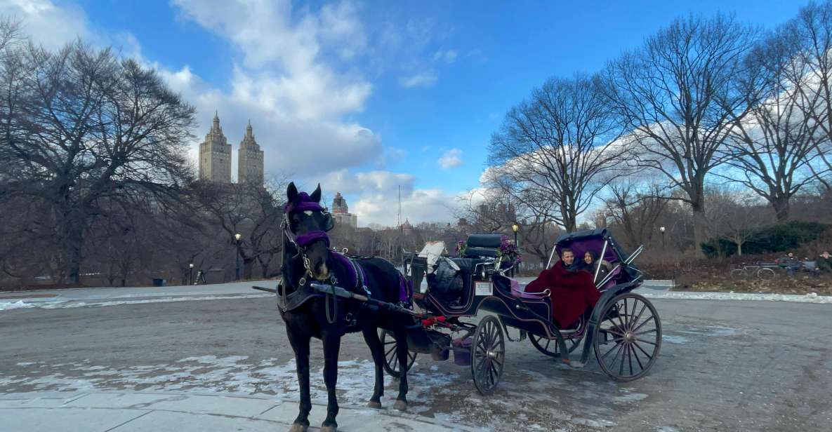 Official VIP Whole Central Park Horse Carriage Tour - Important Information