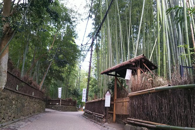 One Day Tour : Enjoy Kyoto to the Fullest! - Ryoan-ji Temple
