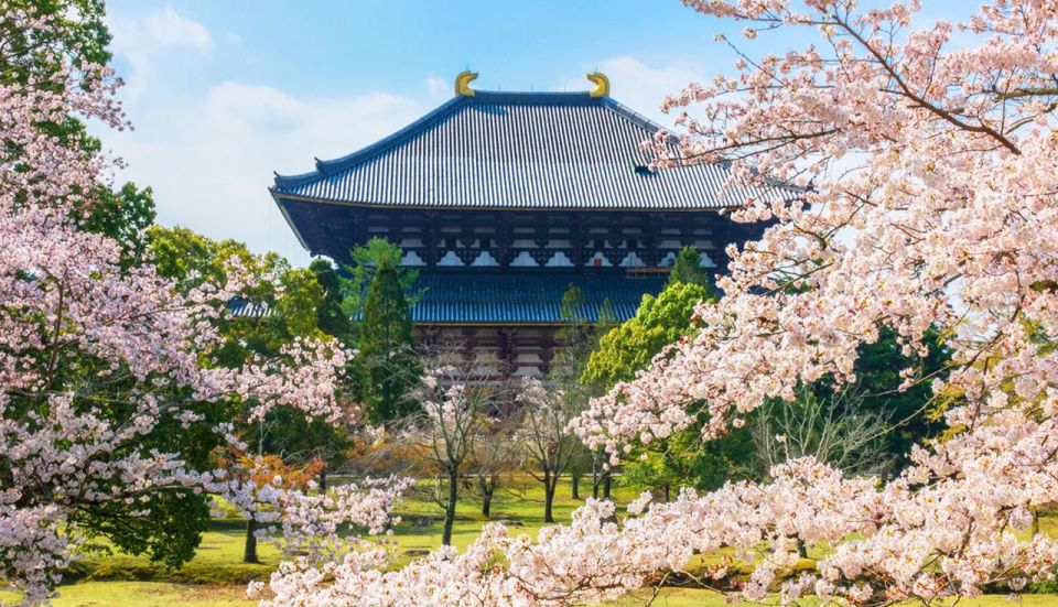 Osaka: Nara, Todaiji, Matcha Experience and Hot Spring Tour - Pricing and Booking