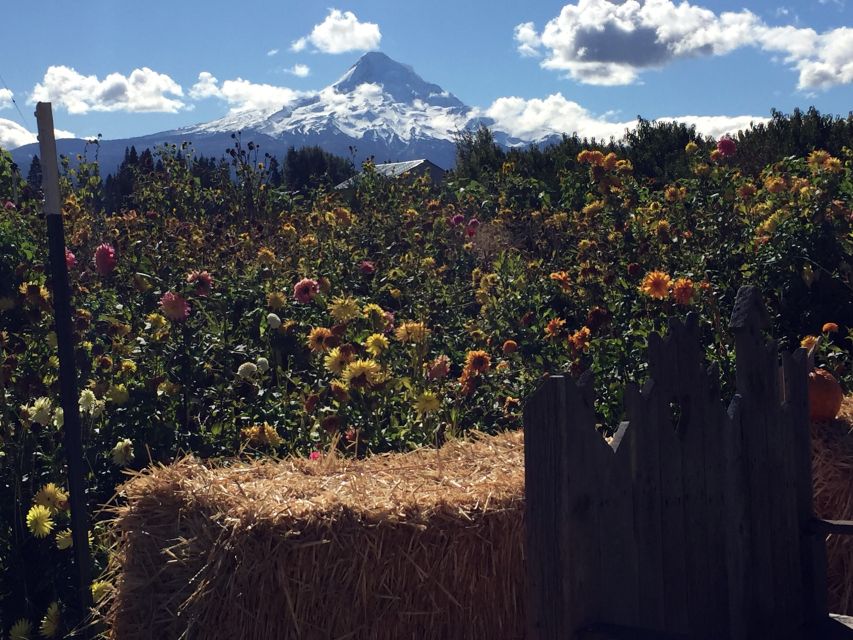 Portland: Mount Hood Wine and Waterfalls Full-Day Tour - Additional Inclusions