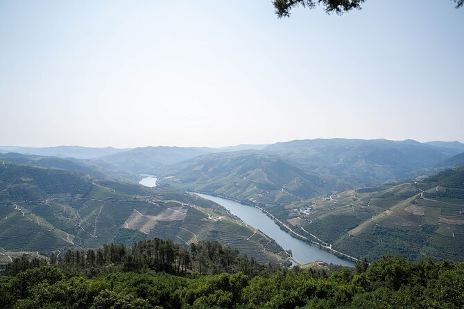 Premium Small Group Douro Valley Wine Tour With Lunch and Cruise - Winery Visits