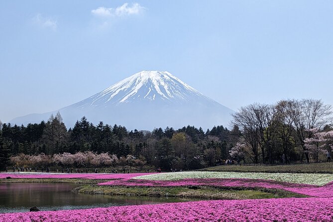 Private Car Mt Fuji and Gotemba Outlet in One Day From Tokyo - Additional Important Information