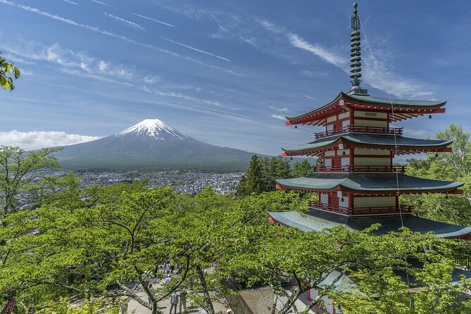 Private Mt Fuji, Hakone and Tokyo Tour-English Speaking Chauffeur - Customer Reviews