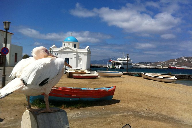 Private Tour: Mykonos Island in Half a Day - Hotel Pickup and Drop-off Included