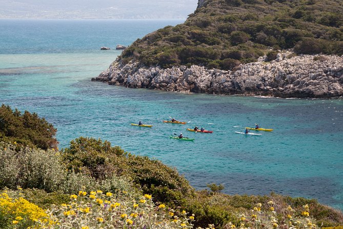 Sea Kayaking in Navarino Bay - Booking and Logistics