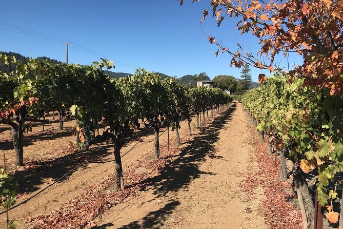 Small-Group Wine Country Tour From San Francisco With Tastings - Frequently Asked Questions