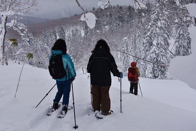 Snowshoe Hike Tour From Sapporo - Suitability and Fitness Levels