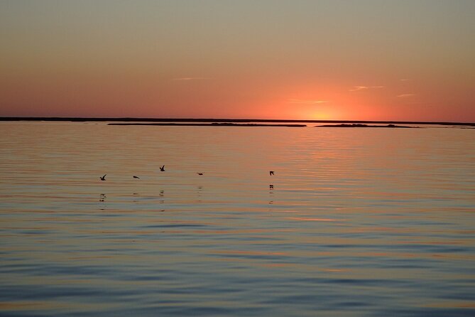 Sunset Tour | Ria Formosa - From Faro - Weather Considerations