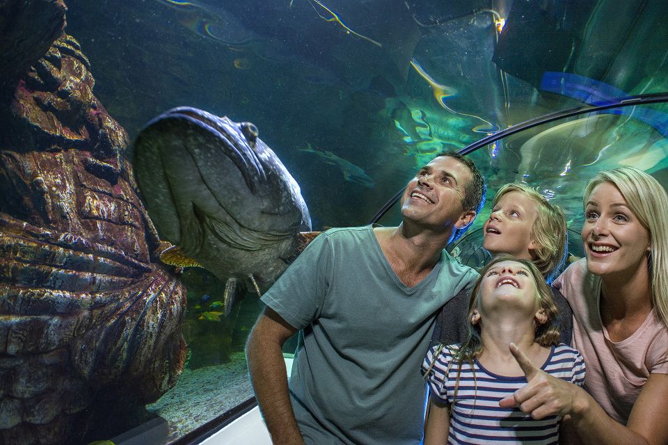 Sunshine Coast: SEA LIFE Sunshine Coast Entry Ticket - Frequently Asked Questions