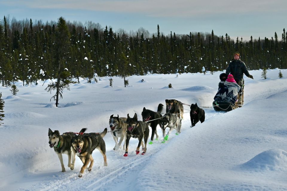 Talkeetna: Winter Dog Sled Tour Morning or Night Mush! - Inclusions and Exclusions