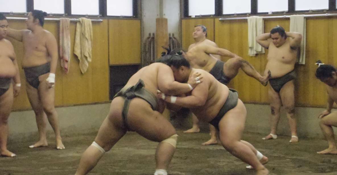 Tokyo: Sumo Morning Practice Viewing Tour - Sumo Stable Tour