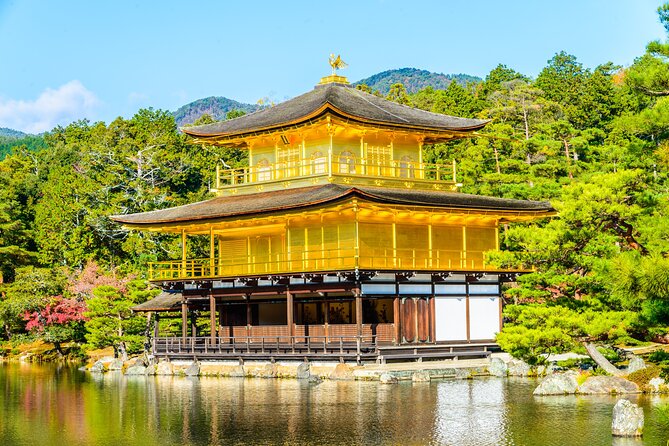 Tokyo to Kyoto 1-Full Day Private Guided Tour - Transportation Options