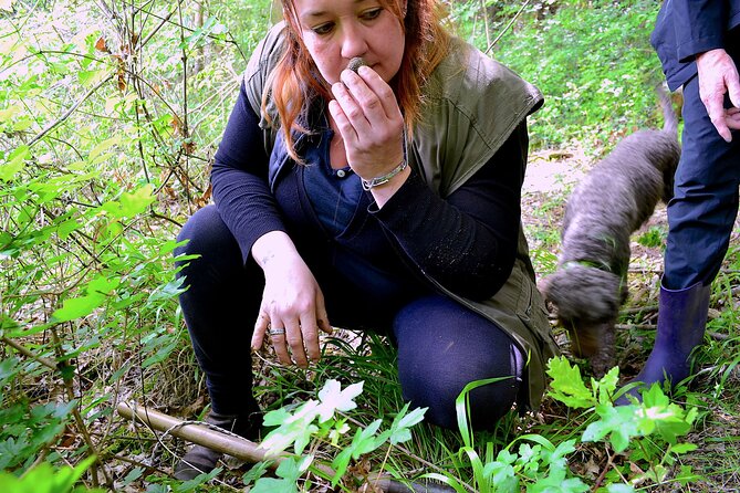 Truffle Hunting Experience With Lunch in San Miniato - Meeting Point