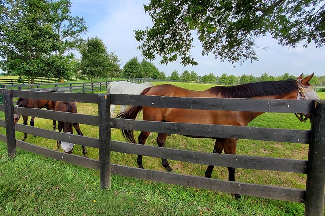 Unique Horse Farm Tours With Insider Access to Private Farms - Frequently Asked Questions