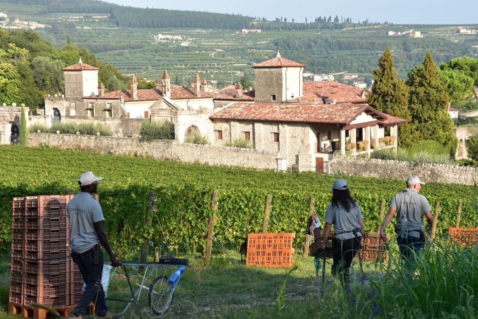 Veneto: Amarone Cooking and Tasting Experience in a Villa - Frequently Asked Questions