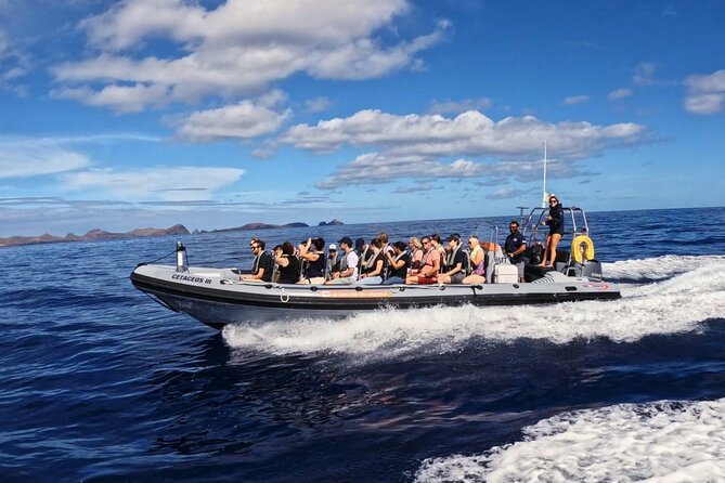 Whale and Dolphin Watching Tour From Funchal - Customer Reviews and Feedback