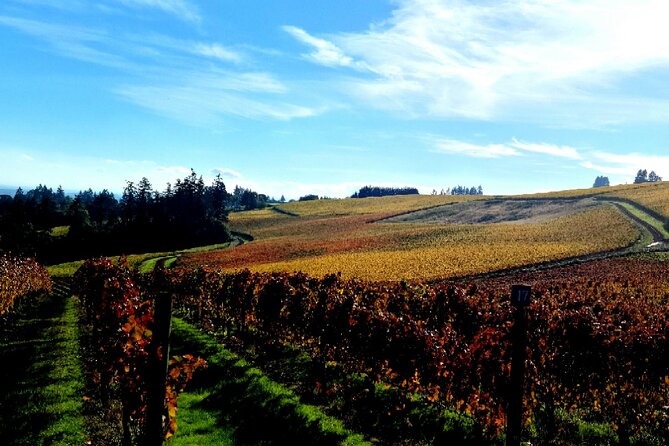 Willamette Valley Wine Tour With Lunch - How to Book