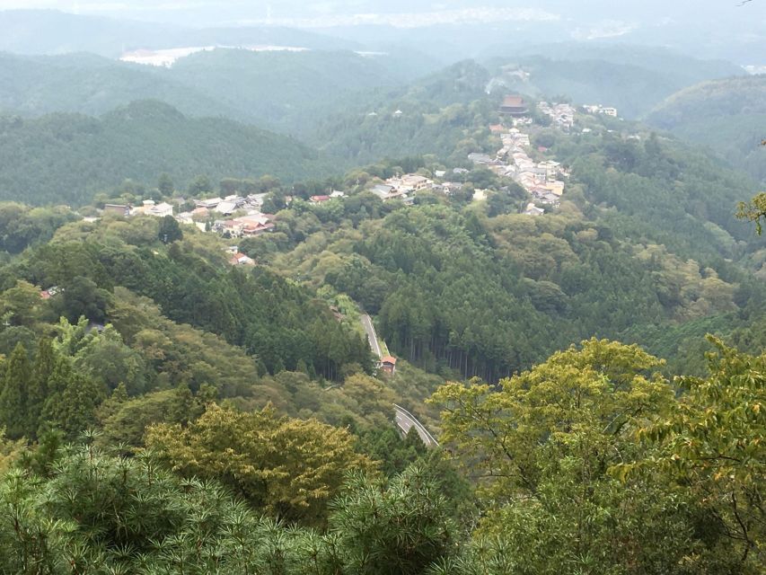 Yoshino: Private Guided Tour & Hiking in a Japanese Mountain - Lunch at Local Restaurant