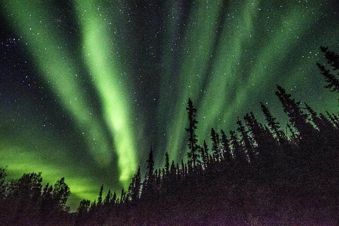 Arctic Circle and Northern Lights Tour From Fairbanks - Frequently Asked Questions