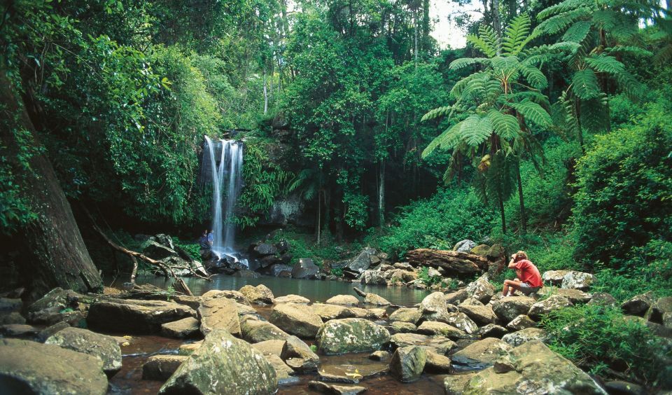 Brisbane: Hop on Hop off Bus to Tamborine Mountain - Frequently Asked Questions