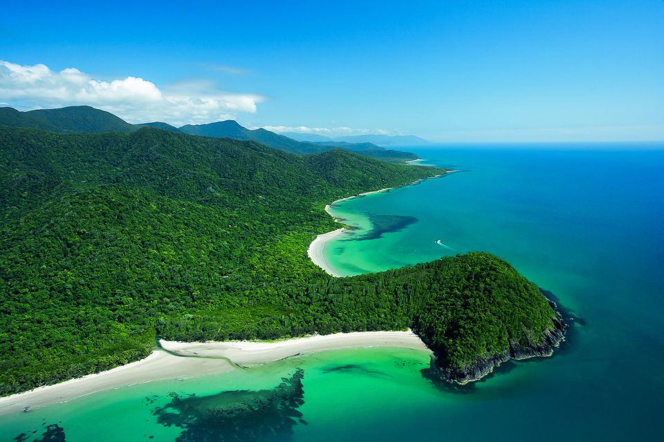 Cairns: Daintree and Mossman Gorge Tour With Cruise Option - Testimonials