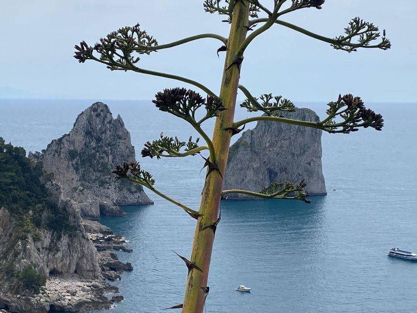 Capri Private Day Tour With Private Island Boat From Rome - Recap