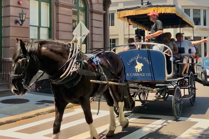 Charleston Horse & Carriage Historic Sightseeing Tour - Recap
