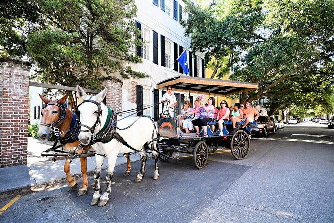 Daytime Horse-Drawn Carriage Sightseeing Tour of Historic Charleston - Cancellation Policy