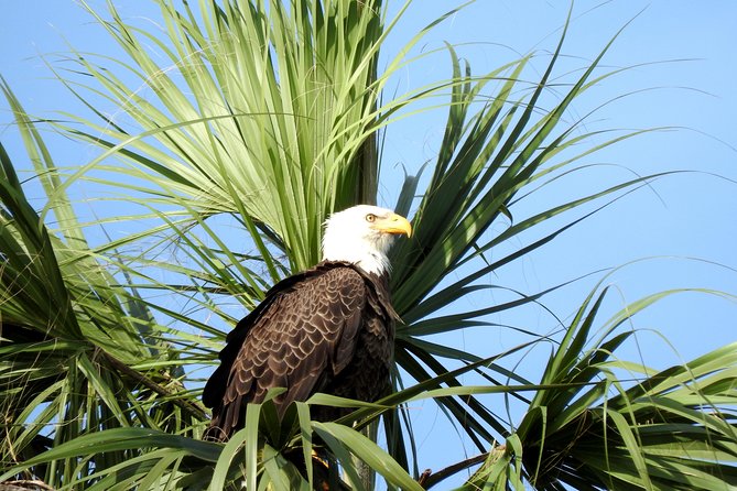 Everglades Day Safari From Ft Lauderdale - Frequently Asked Questions