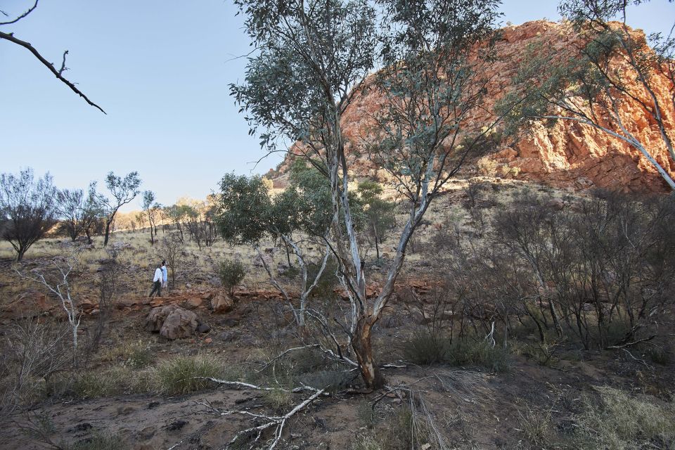 From Alice Springs: West MacDonnell Ranges Half Day Trip - Frequently Asked Questions